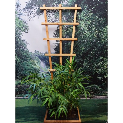 Rankgitter in Lärche Trapezform Rankgitter in Lärche Trapezform