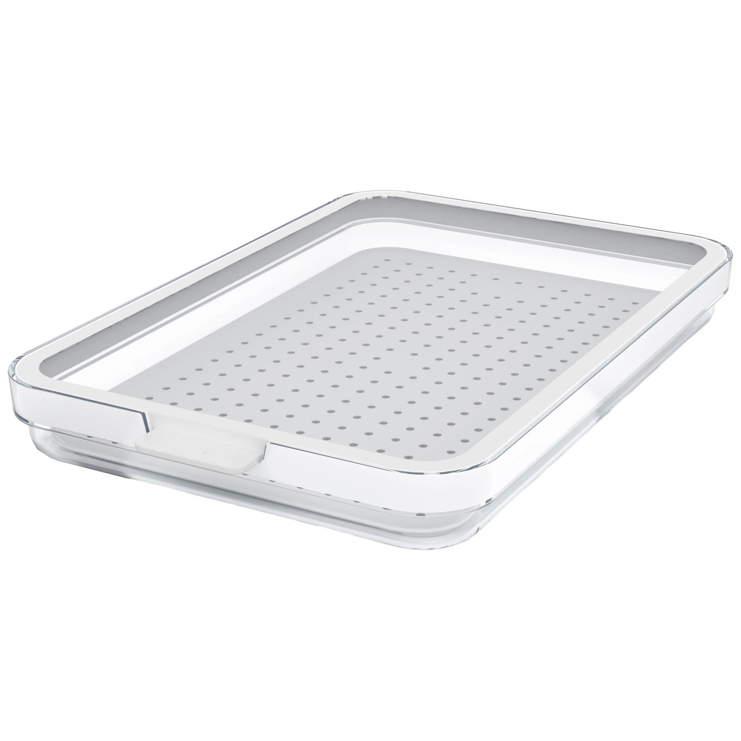 Rotho Kühlschrankorganizer Cauma 1,3 l Rotho Kühlschrankorganizer Cauma 1,3 l