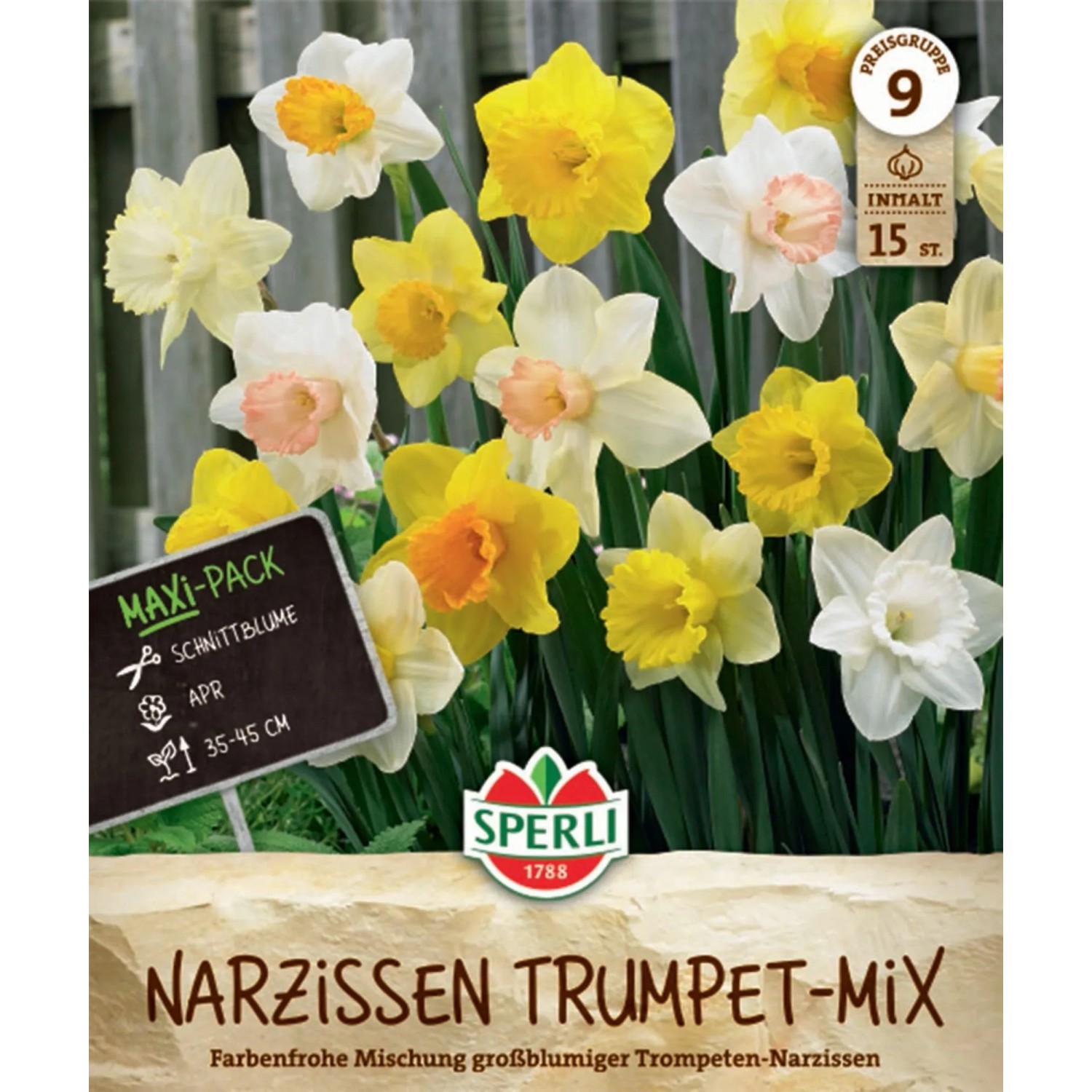 Sperli Blumenzwiebel Maxi Trompeten-Narzissen Mischung Sperli Blumenzwiebel Maxi Trompeten-Narzissen Mischung