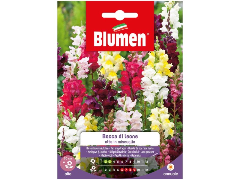 Blumen Mix Grosses L Wenmaul Antirrhinum Majus Kaufen Bei Obi