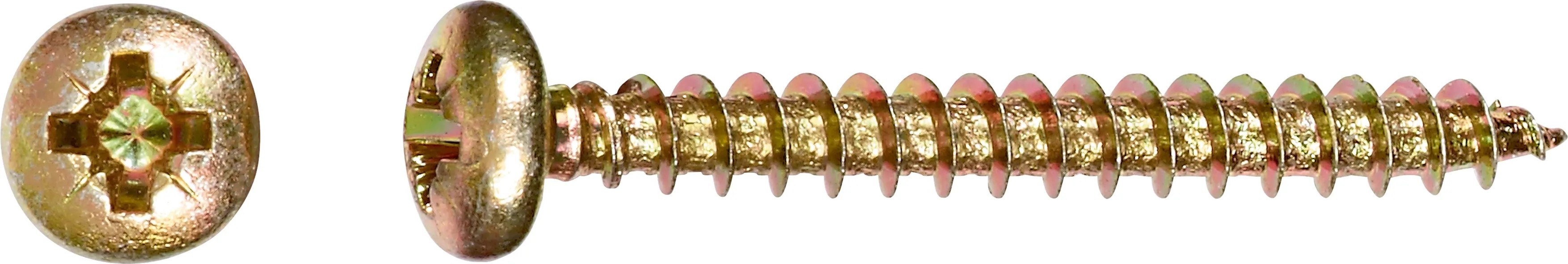 Vite universale a testa semitonda con impronta PZ Ø 5 x 16 mm / 15 pz. Vite universale a testa semitonda con impronta PZ Ø 5 x 16 mm / 15 pz.