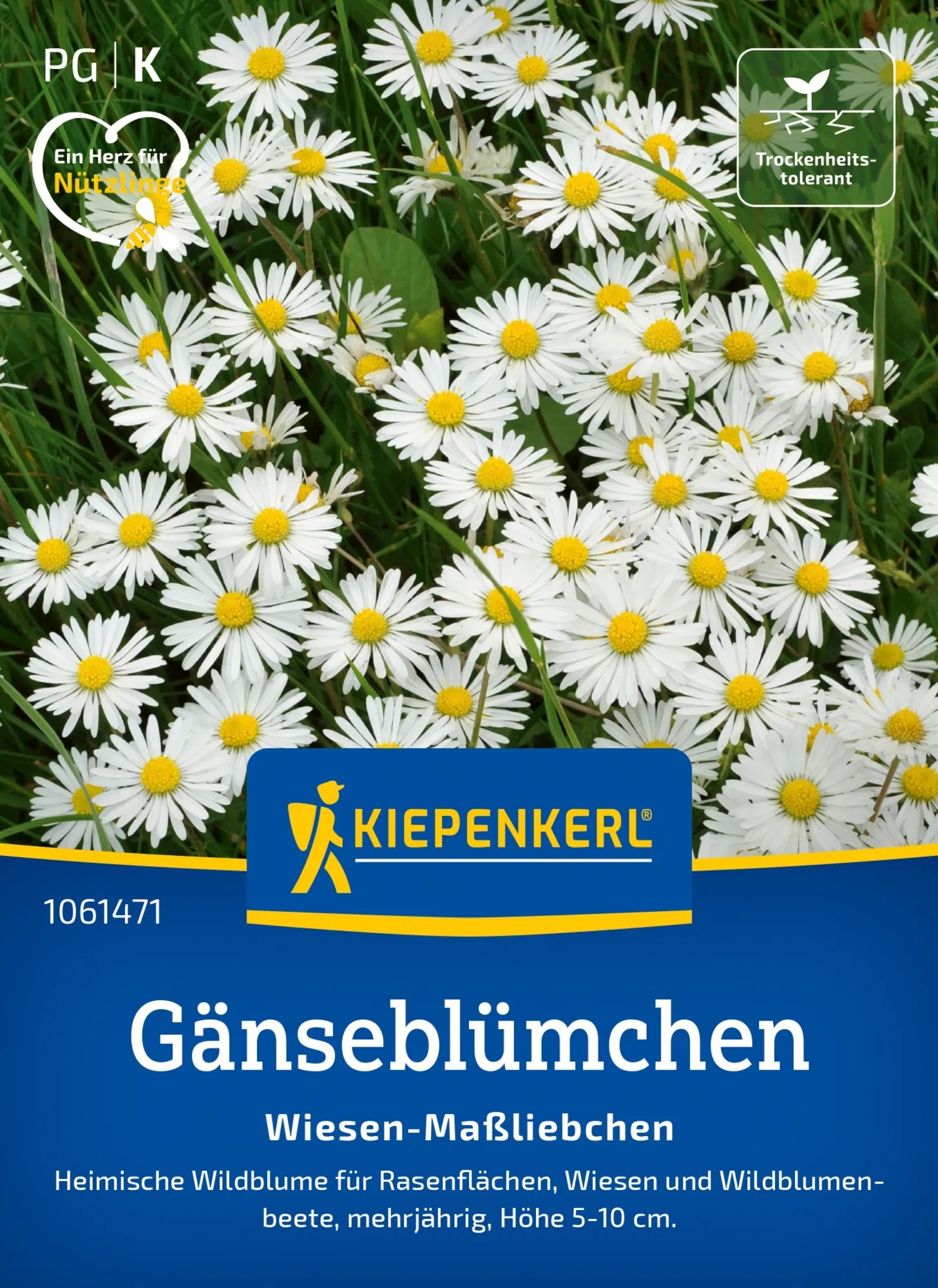 Kiepenkerl Saatgut Gänseblümchen Wiesen-Maßliebchen Kiepenkerl Saatgut Gänseblümchen Wiesen-Maßliebchen
