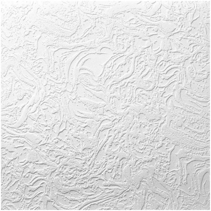Decosa Pannello da soffitto Bern EPS Bianco 50 x 50 cm / spessore 7 cm / 8 pz. Decosa Pannello da soffitto Bern EPS Bianco 50 x 50 cm / spessore 7 cm / 8 pz.
