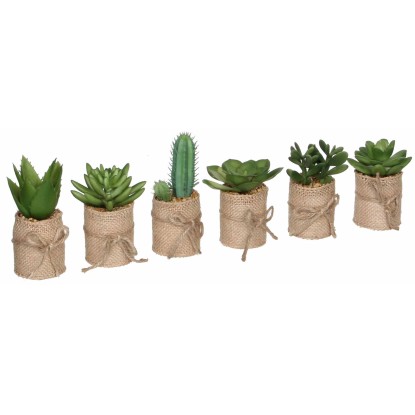 Mica Decorations Kunstpflanze Sukkulente Topf Ø 5 cm / Höhe 12 cm / 1 Stk. Mica Decorations Kunstpflanze Sukkulente Topf Ø 5 cm / Höhe 12 cm / 1 Stk.