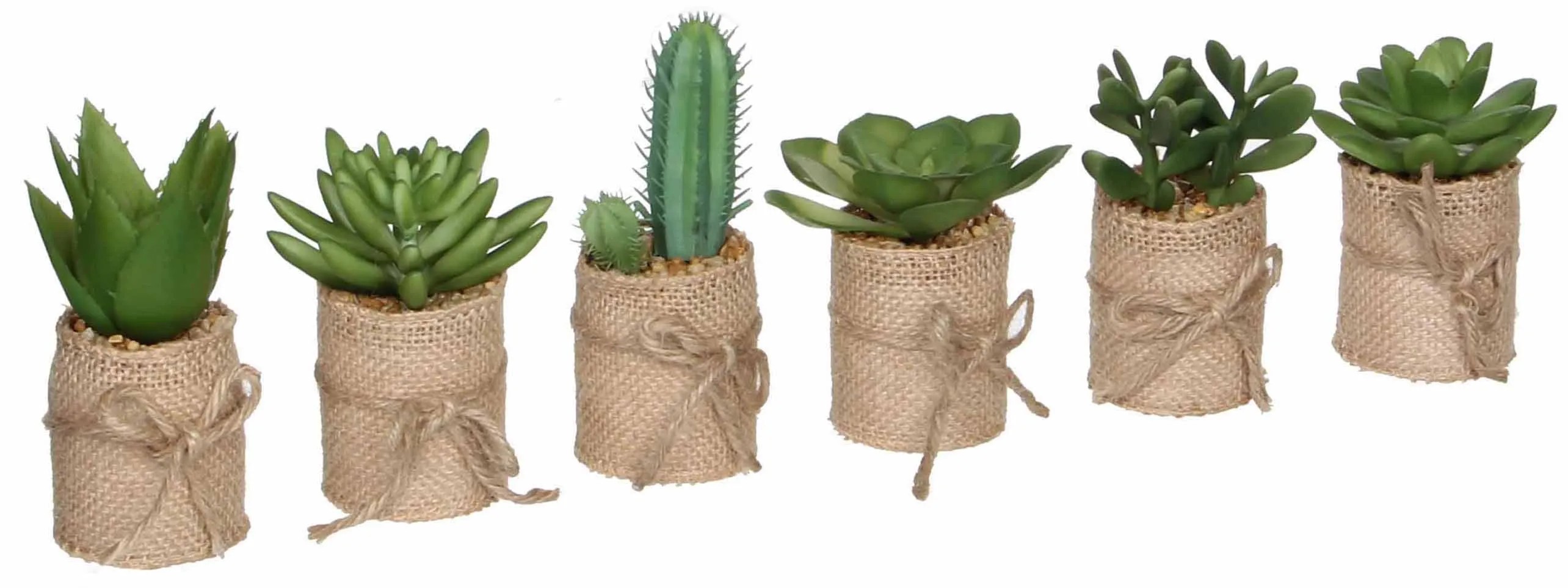 Mica Decorations Kunstpflanze Sukkulente Topf Ø 5 cm / Höhe 12 cm / 1 Stk. Mica Decorations Kunstpflanze Sukkulente Topf Ø 5 cm / Höhe 12 cm / 1 Stk.