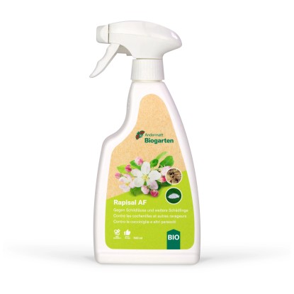 Rapisal AF gegen Schildläuse Rapisal AF gegen Schildläuse