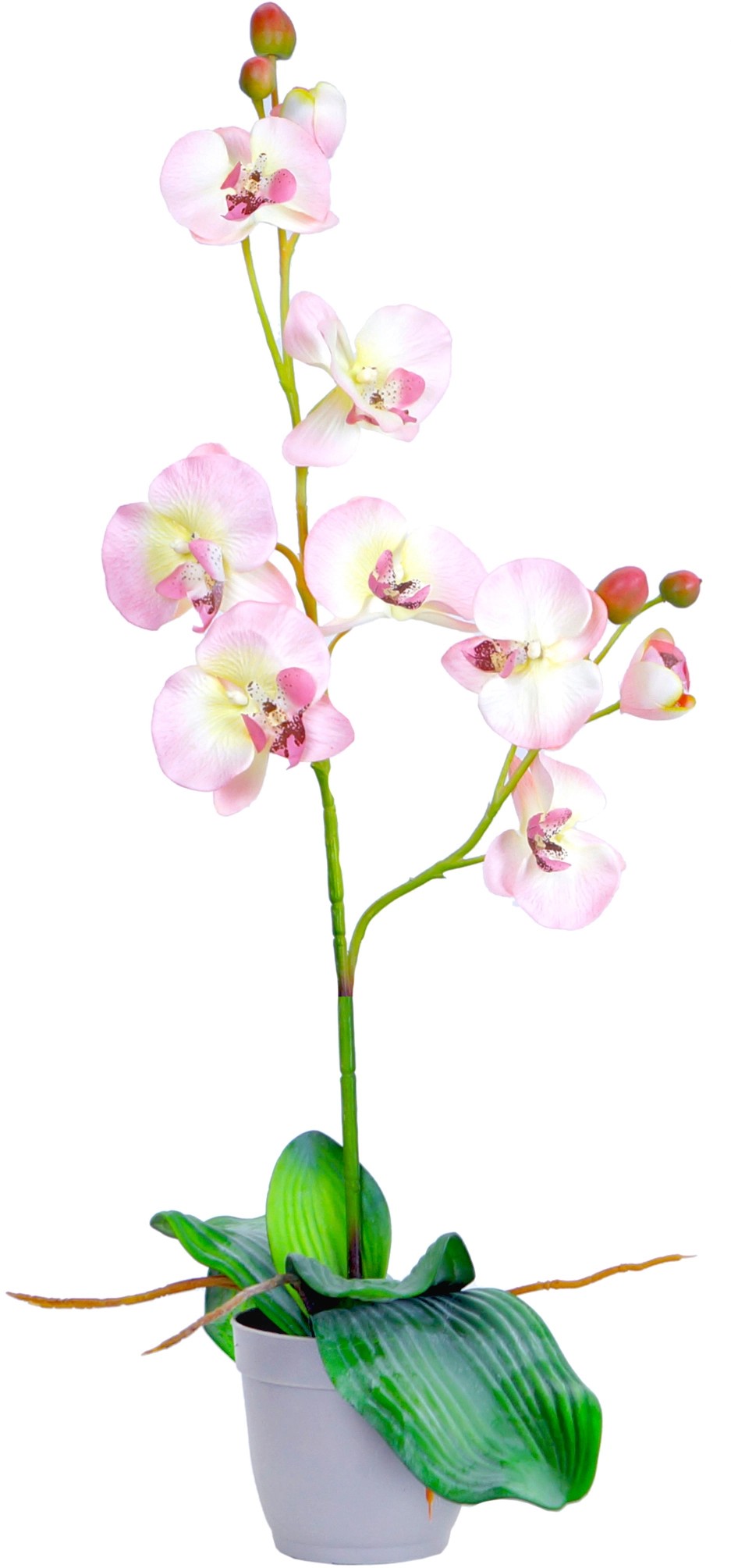 Plante artificielle Orchidée Phalaenopsis dans pot Crème Ø 30 cm H 80 cm