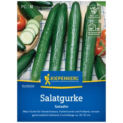 Kiepenkerl Semi dii cetriolo da insalata Saladin F1 6 piante Kiepenkerl Semi dii cetriolo da insalata Saladin F1 6 piante