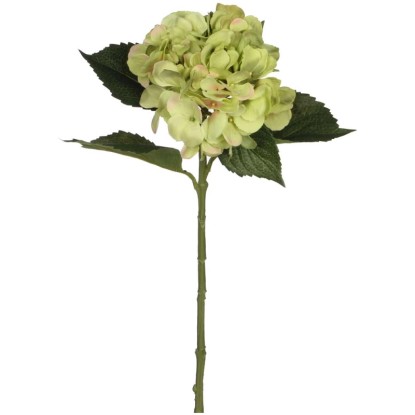 Mica Decorations Kunstfloristik Hortensien-Zweig Grün Höhe 51 cm Mica Decorations Kunstfloristik Hortensien-Zweig Grün Höhe 51 cm