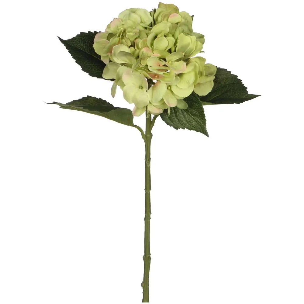 Mica Decorations Kunstfloristik Hortensien-Zweig Grün Höhe 51 cm Mica Decorations Kunstfloristik Hortensien-Zweig Grün Höhe 51 cm