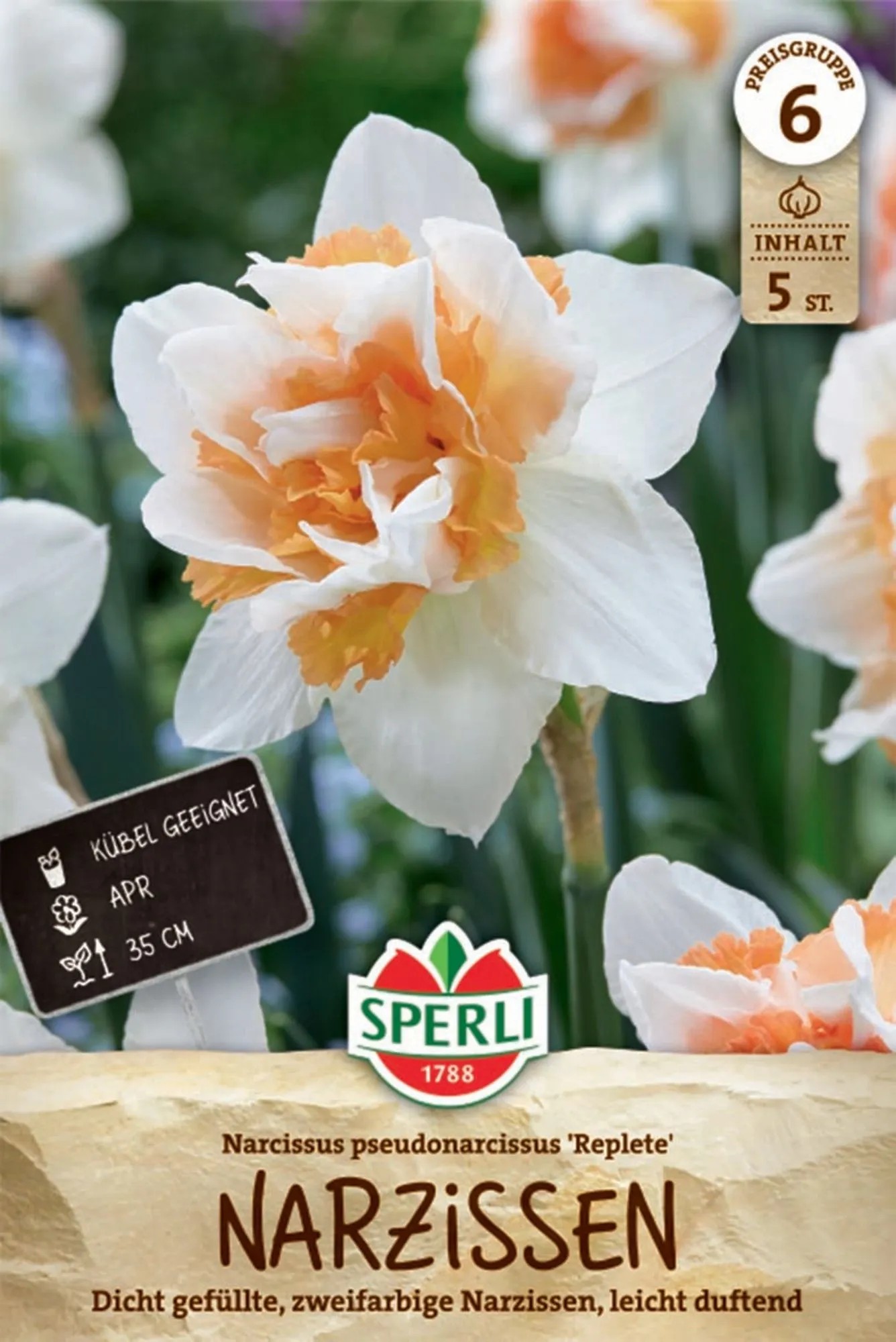 Sperli Blumenzwiebel Gefüllte Narzisse Replete Sperli Blumenzwiebel Gefüllte Narzisse Replete