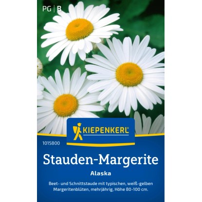 Kiepenkerl Margherita Alaska Leucanthemum Kiepenkerl Margherita Alaska Leucanthemum