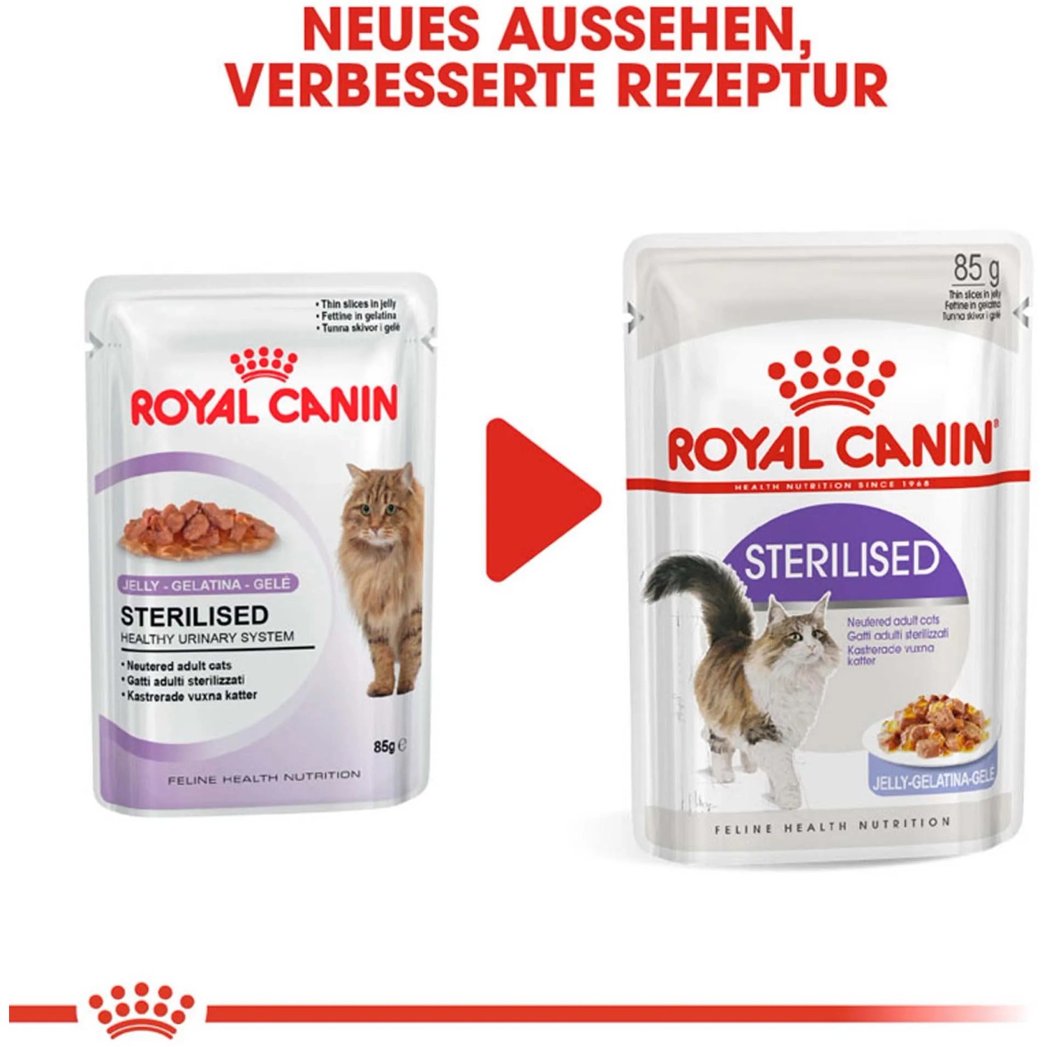 Royal Canin Appetite Control Care Airlift Loaf &ndash; 12x85 G &ndash; Alimento Umido Per Gatti Adulti, Per Controllo Appetito E Peso