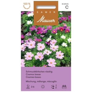 Graines de cosmos nain, mélange de fleurs roses, blanches et violettes.