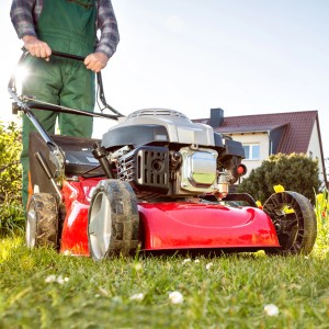 Tondeuse à gazon rouge avec homme dans le jardin, alimentée par un mélange spécial Aspen 4 temps.