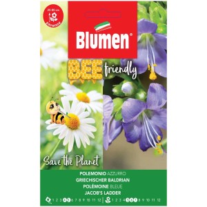 Semi di fiori: Scala di Giacobbe blu con fiori blu intenso, adatta alle api per luoghi soleggiati.