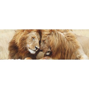 Blocco decorativo: tenera coppia di leoni, 40x118 cm. Immagine decorativa per il soggiorno.