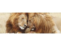 Deko-Block Pair of Lions 40 x 118 cm