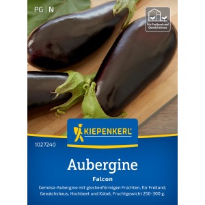 Aubergine 'Falcon' violet foncé de Kiepenkerl, idéale pour les plates-bandes et les pots.