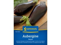 Kiepenkerl Aubergine Falcon F1-Hybride