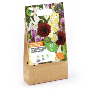 Grow by OBI Mix di fiori recisi, 40 pz. Bulbi da fiore per bouquet colorati.