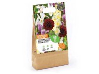 Grow by OBI Schnittblumen-Mischung 40 Stk. Grow by OBI Schnittblumen-Mischung 40 Stk.