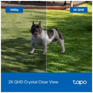 Vergleich: Tapo C425 Netzwerkkamera, links 1080p, rechts 2K QHD Auflösung mit Hund im Garten.