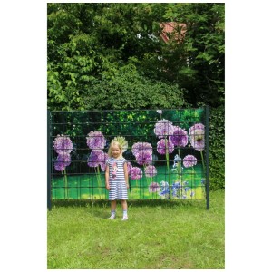 Set di strisce frangivista Allium su recinzione con aglio ornamentale viola, bambino in piedi davanti.