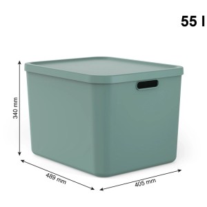Rotho Multibox Albula 55 l Mistletoe Green. Stapelbare Aufbewahrungsbox mit Deckel, Griffen und Maßen.