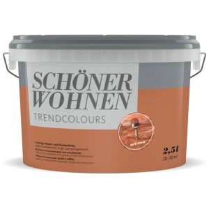 Schöner Wohnen pittura murale Arizona, colore di tendenza opaco in un secchio da 2,5 l.