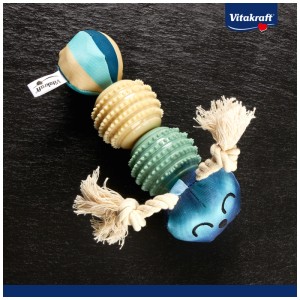 Vitakraft Galaxy Garden bruco giocattolo per cani in poliestere, cotone e TPR.