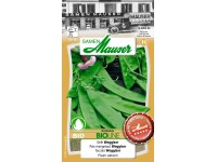 Pois mangetout Weggis