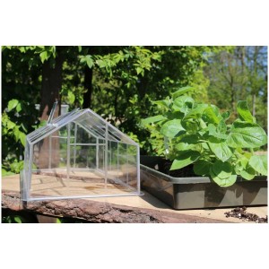Serra trasparente Videx Garden Classic-House per coltivazione e germinazione.