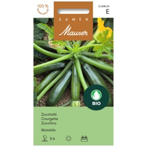 Paquet de graines de courgettes biologiques Frühbusch avec des courgettes mûres.