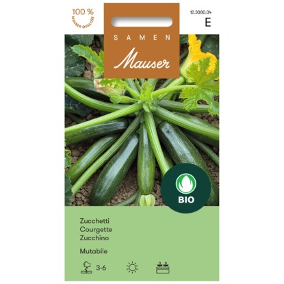 Courgette Frühbusch Bio