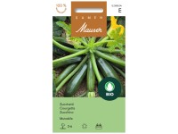 Zucchetti Frühbusch Bio