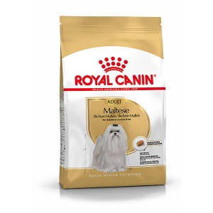 Royal Canin Maltese Adult cibo secco per cani Maltese da 10 mesi in sacco da 1,5 kg.