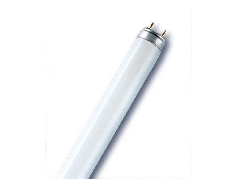 Osram Lampe fluorescente T8 G13 Fluora Lumière à plantes 18 W