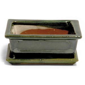 Pot à bonsaï vert avec soucoupe, Ø 15cm, pour une présentation et un entretien élégants des bonsaïs.