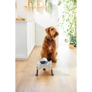 Gamelle pour chien Rotho Sammy blanche réglable en hauteur (1,02 l) devant un chien assis.