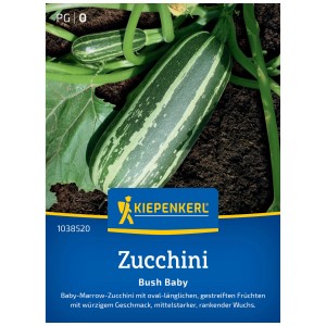 Graines de courgette Kiepenkerl Bush Baby, courgette vert foncé rayée.