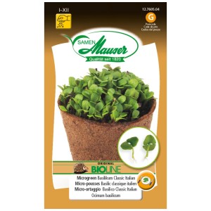 Samen Mauser Microgreen Basilic Classic Italian bio en pot de culture.
