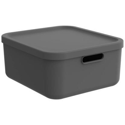 Rotho Multibox Albula Anthrazit 20 l