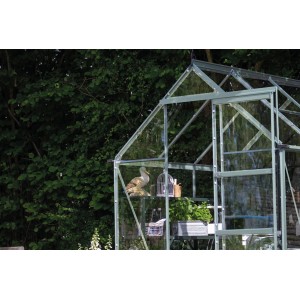 Serra Halls Icon 6 Alu, 6,1 m², con scaffali e decorazioni in giardino.