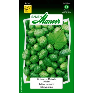 Sachet de graines de mini-concombre mexicain, Melothria scabra, fruits verts et feuille.