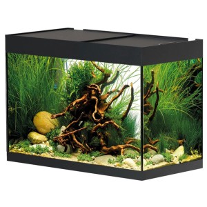 Oase Aquarium Styleline 125, aquarium noir de 115 l avec plantes et décoration.