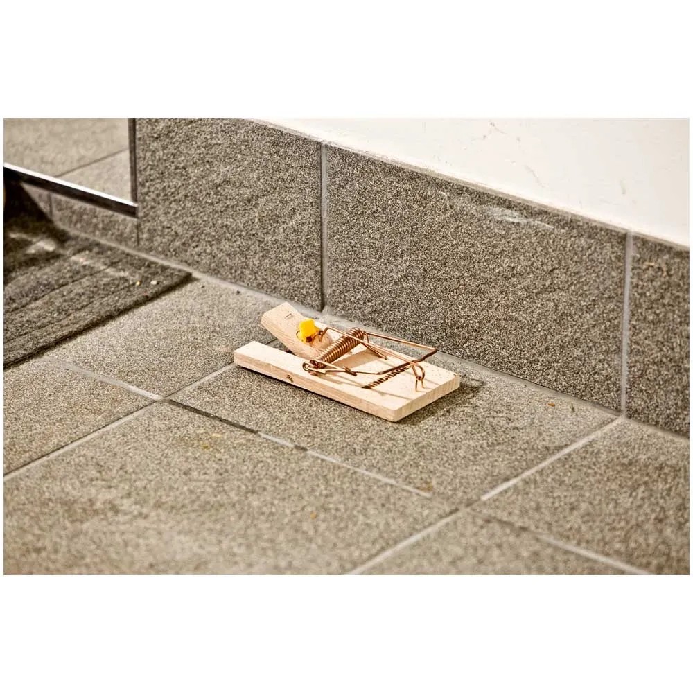 GAOHUI 6er-Set Mausfallen Aus ABS-Kunststoff – Wiederverwendbar & Hochempfindlich