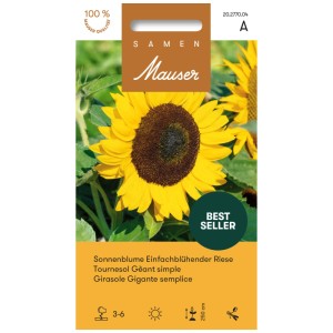 Sachet de graines de tournesol 'Géant à fleur simple' avec grande fleur jaune et centre foncé.