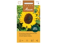 Sonnenblume Einfachblüh. Riese Sonnenblume Einfachblüh. Riese