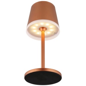 Globo LED-Solartischleuchte in Champagner, 26-41cm hoch, mit 10 LEDs. Solar Deko für den Aussenbereich.